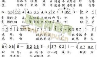 森林狂想曲五线谱