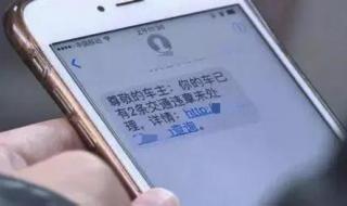 广东交通违章记录查询